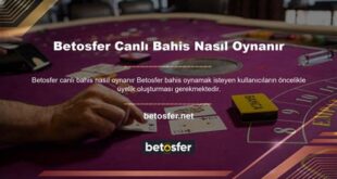 Pashabet Canlı Bahis Terimleri ve Anlamları